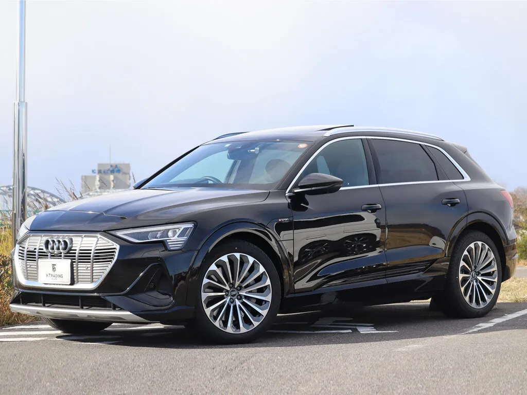 Audi e-tron 2020, джип/suv 5 дв., 1 поколение (12.2020 - н.в.)