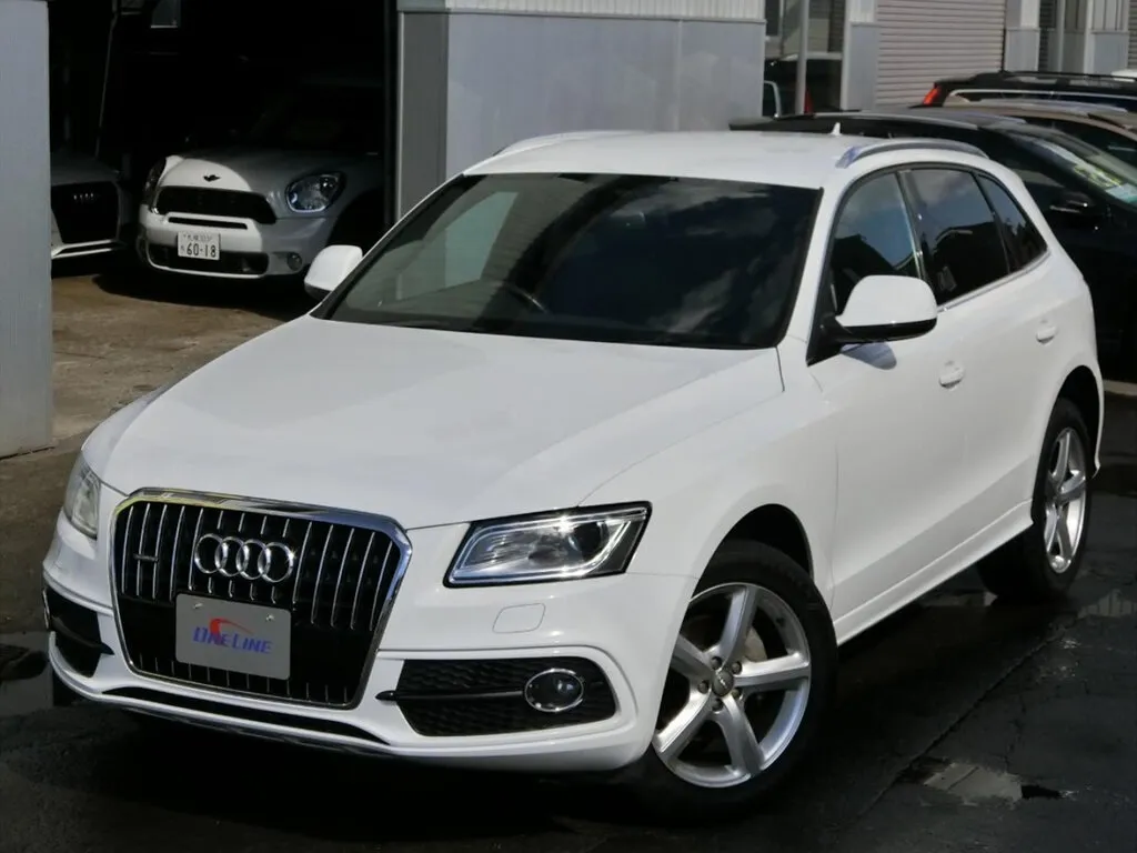 Audi Q5 2009, джип/suv 5 дв., 1 поколение, 8R (06.2009 - 10.2012)