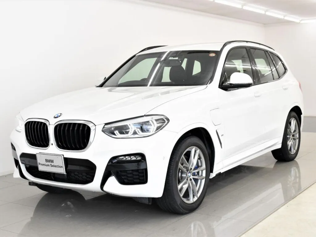 BMW X3 2017, джип/suv 5 дв., 3 поколение, G01 (10.2017 - 09.2021)