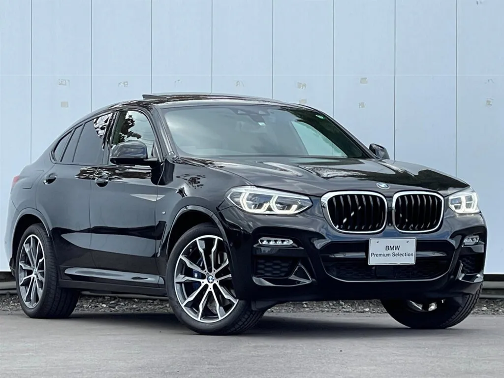 BMW X4 2018, джип/suv 5 дв., 2 поколение, G02 (09.2018 - 09.2021)