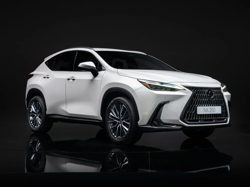 Lexus NX250 2021, джип/suv 5 дв., 2 поколение, AZ20 (06.2021 - 12.2022)