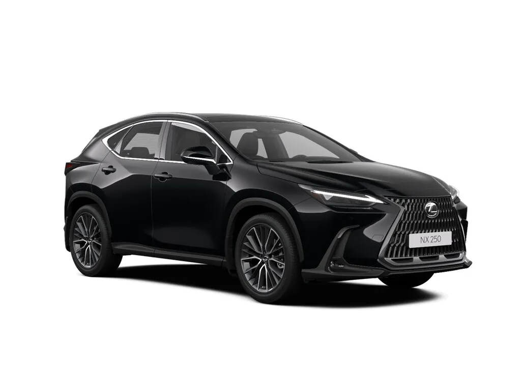 Lexus NX250 2021, джип/suv 5 дв., 2 поколение, AZ20 (06.2021 - н.в.)