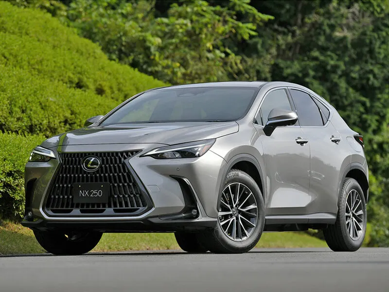 Lexus NX250 2021, джип/suv 5 дв., 2 поколение, AZ20 (10.2021 - н.в.)
